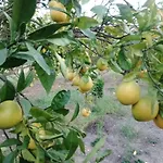 Turim Club Azeitao Ξενοδοχείο Σετούμπαλ